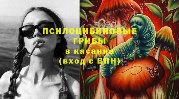 герыч Тутаев