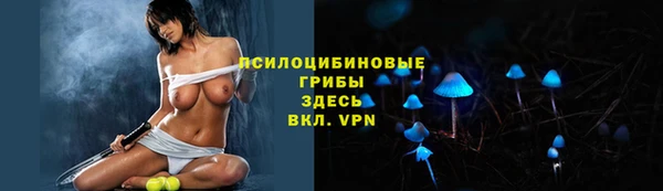 первитин Володарск