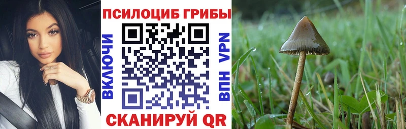 Галлюциногенные грибы прущие грибы  Новоржев 